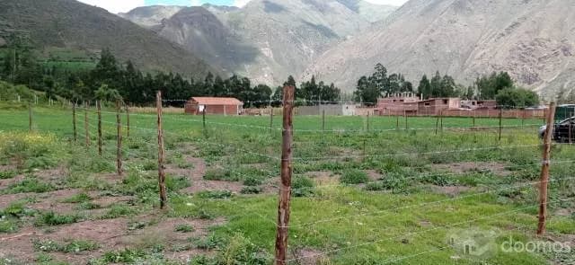 VENDO TERRENO DE 400 M2 EN CALCA — foto 1