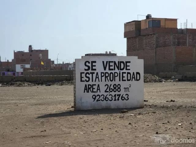 VENTA TERRENO HUACHO 2688 M2 Y 5000 M2 — foto 3