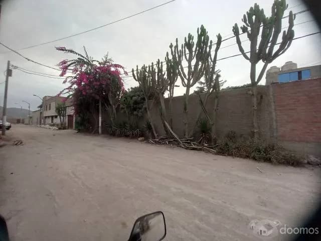 Terreno industrial de 1000 m2 Comas - Trapiche — foto 1