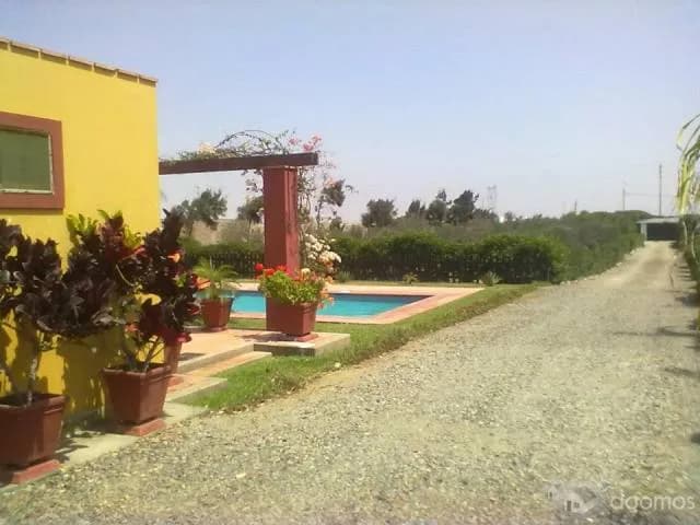 ALQUILER TERRENO ALMACEN — foto 9