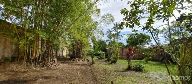 TERRENO Y CASAS EN SAN JUAN, IQUITOS — foto 8