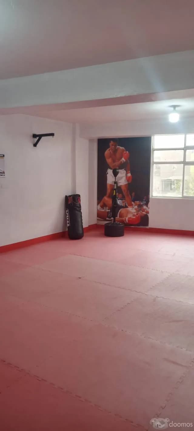 Local Comercial y/o Departamento. — foto 1