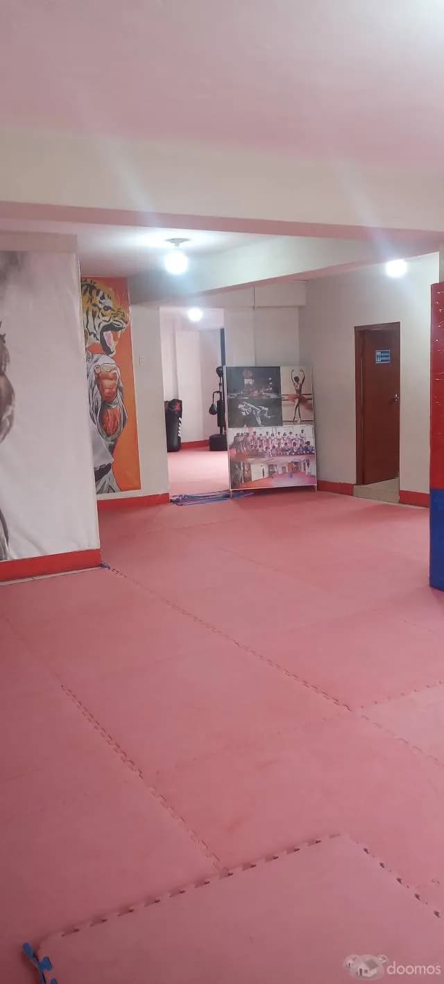 Local Comercial y/o Departamento. — foto 4