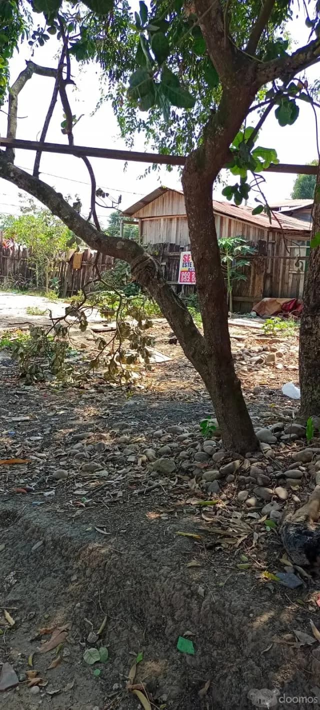 VENDO TERRENO POR VIAJE URGENTE — foto 3