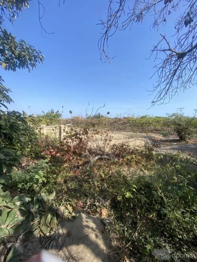 PARCA - TERRENO AGRICOLA DE 1600 M2 — foto 2