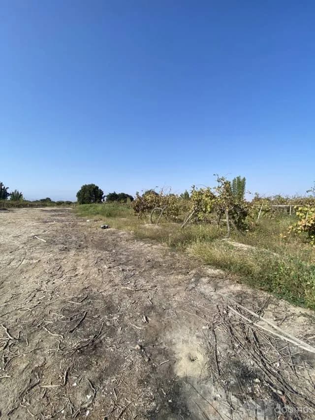 TERRENO PARA RANCHO 6900 M2 — foto 3