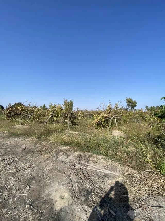 TERRENO PARA RANCHO 6900 M2 — foto 4
