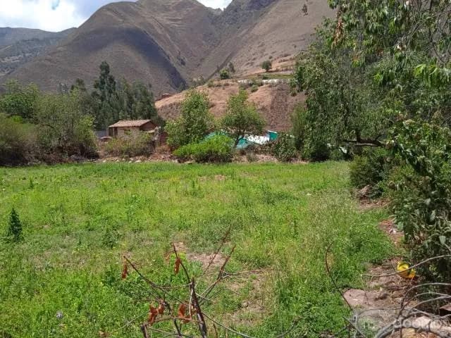 venta de terreno sector Yanacona_ Chicon — foto 3