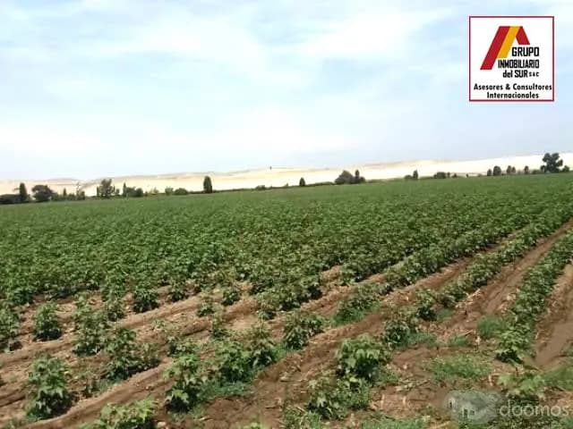 Sigue este enlace para ver nuestro catálogo en WhatsApp — foto 6