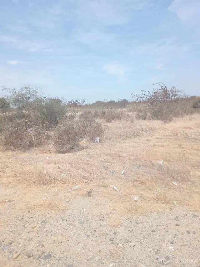 Venta de Terreno 6 Ha Carretera Piura Sullana — foto 5