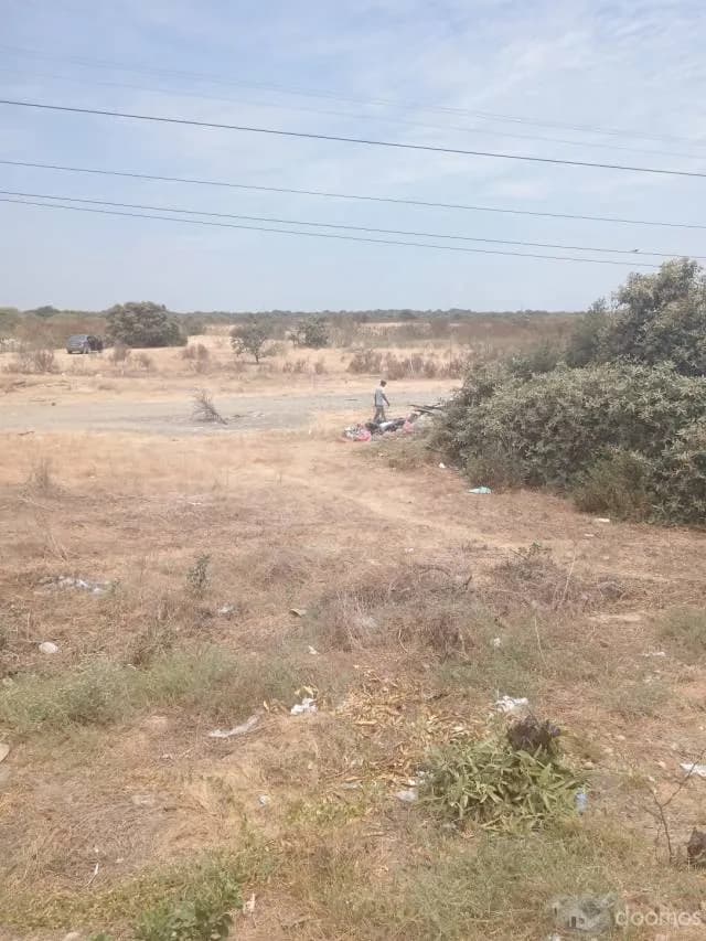 Venta de Terreno 6 Ha Carretera Piura Sullana — foto 7