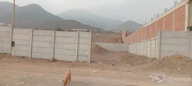 Terreno industrial 1173m2 USD/240 000  · Disponible — foto 7