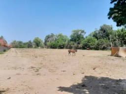 Vendo Lote para vivienda campestre en condominio - Chincha