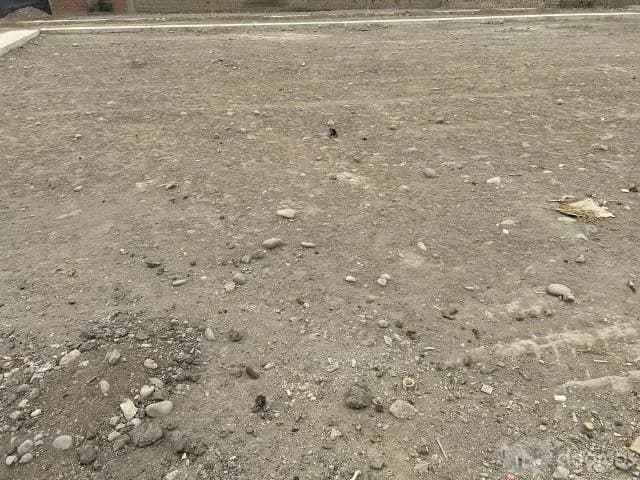 Terrenos desde 90m2 en San Pedro de Carabayllo — foto 4