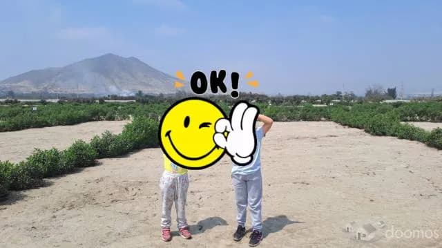 Venta de Terreno -  Condominio Kunaq en Huaral — foto 8