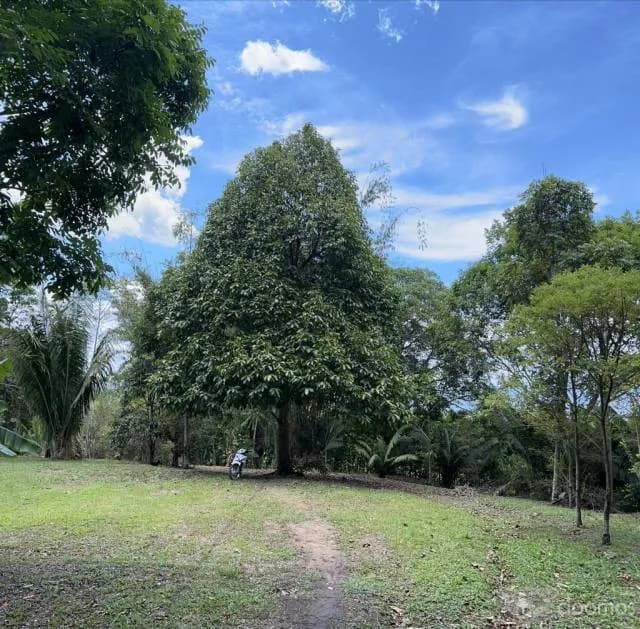 HERMOSO TERRENO CON CASA CONSTRUIDA TODOS LOS SERVICIOS PARA INVERSION — foto 2