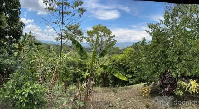 HERMOSO TERRENO CON CASA CONSTRUIDA TODOS LOS SERVICIOS PARA INVERSION — foto 6