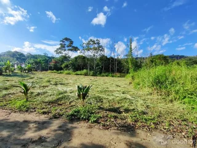 ¡OFERTA ESPECIAL! – LOTES EN TARAPOTO — foto 6