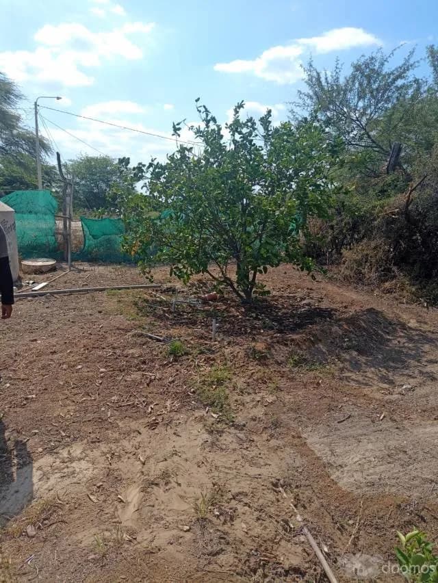 VENDO INMUUEBLE EN CIENEGUILLO SUR PARA CASA DE CAMPO — foto 5