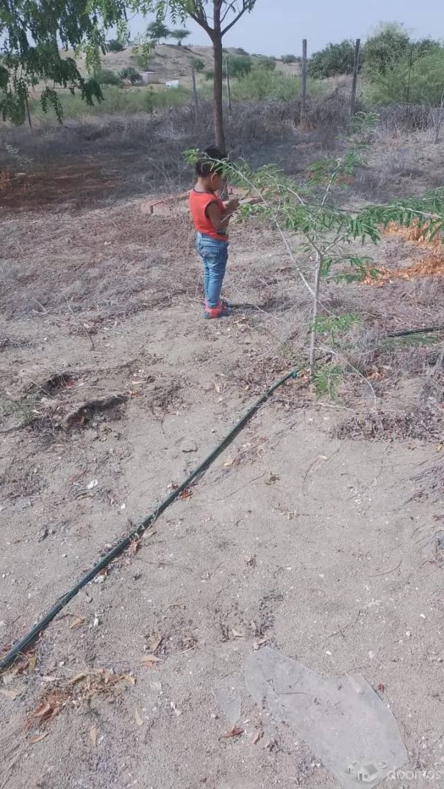VENDO TERRENO PARA PROYECTOS INMOBILIARIOS 9.8HAS — foto 4