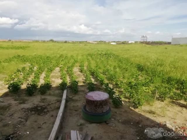 Venta de Terrenos en Piura — foto 2