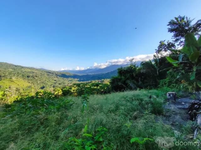 TERRENO PARA INVERSIÓN TURÍSTICA EN TARAPOTO. ¡DE OCASIÓN! — foto 3