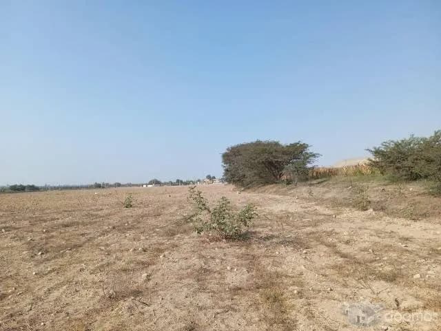 SE VENDE 14 hectáreas de  TERRENO AGRÍCOLA — foto 2
