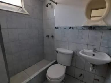 Miniatura 10