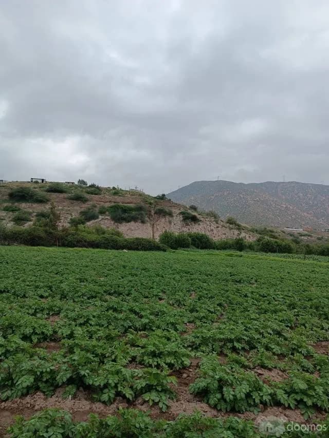 Ocasión Fundo la Romaña — foto 5