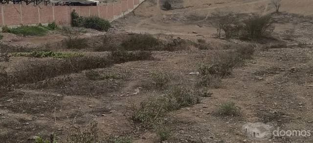 SE VENDE TERRENO DE 44.431,54 METROS CUADRADOS — foto 2