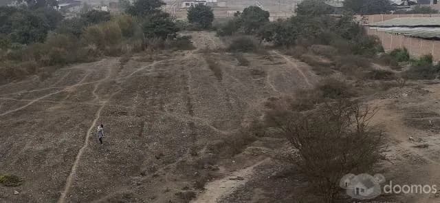 SE VENDE TERRENO DE 44.431,54 METROS CUADRADOS — foto 3