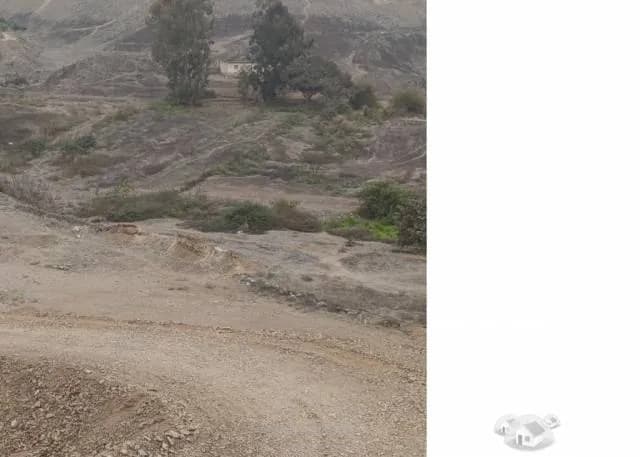 SE VENDE TERRENO DE 44.431,54 METROS CUADRADOS — foto 5