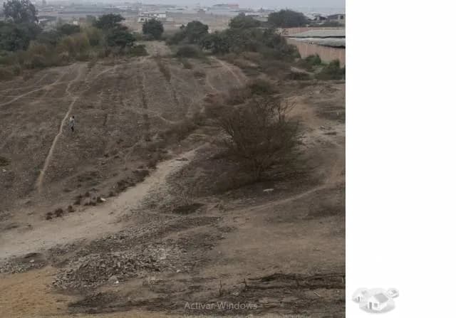 SE VENDE TERRENO DE 44.431,54 METROS CUADRADOS — foto 6