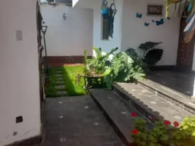 Miniatura 9