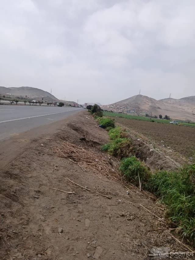 VENDO 4 HECTAREAS EN CHANCAY — foto 3
