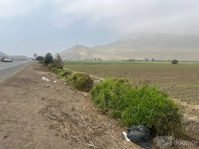 VENDO 4 HECTAREAS EN CHANCAY — foto 5