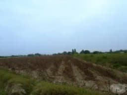 Se vende Terreno Agrícola en el Distrito del Carmen - Chincha Alta