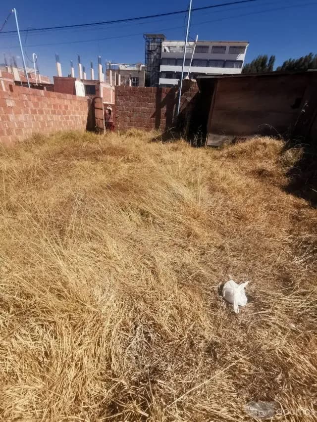 ¡Oportunidad única de inversión en San Jerónimo! — foto 4