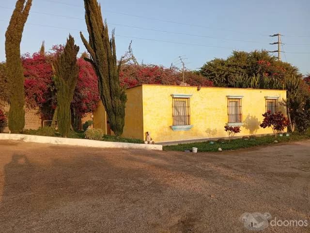 Parcela de 4 hectáreas VENDO   a.  ". $ 25,000 ".  por hectarea — foto 2