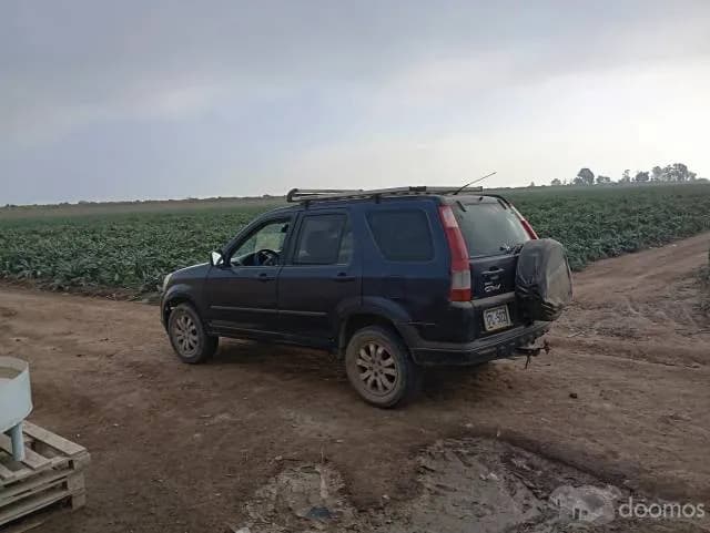 Parcela de 4 hectáreas VENDO   a.  ". $ 25,000 ".  por hectarea — foto 8