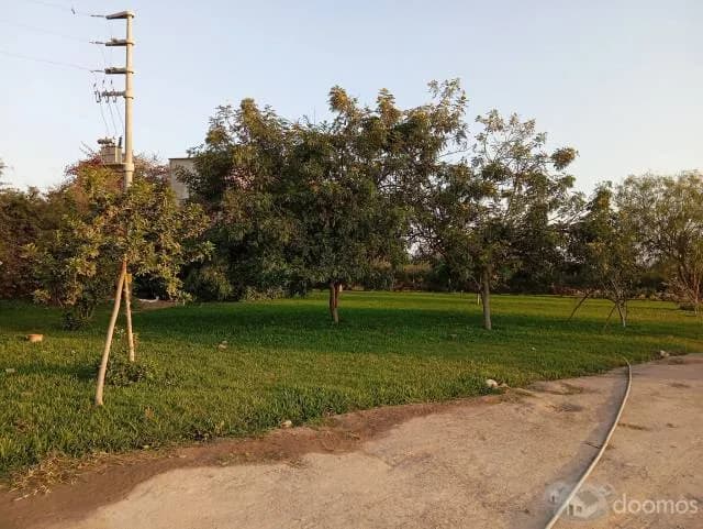 Parcela de 4 hectáreas VENDO   a.  ". $ 25,000 ".  por hectarea — foto 10