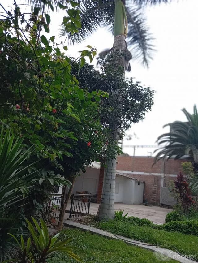 OCACIÓN.  2,025  Vendo  casa con piscina en  CHINCHA ALTA , — foto 6