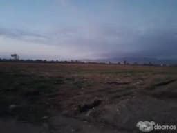 SE VENDE TERRENO DE 5.4 HECTAREAS - SECTOR MANRIQUE , PISCO