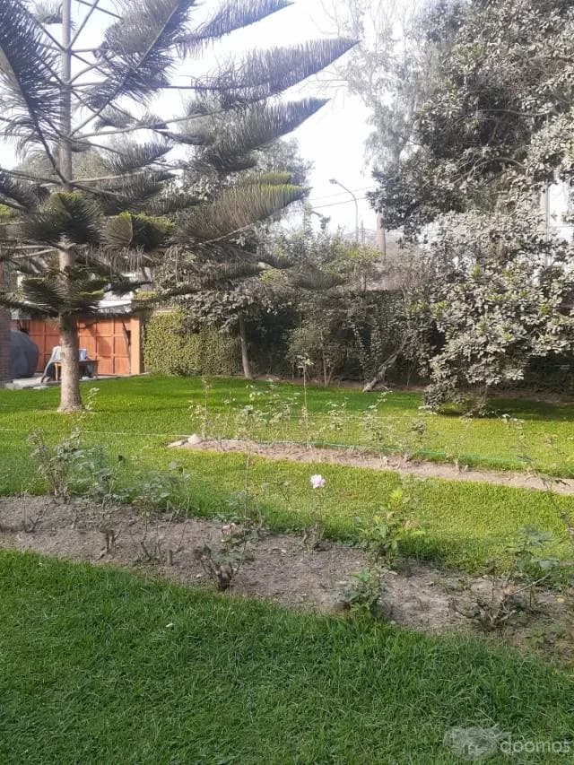 Vendo Casa en Av. Los Cedros cuadra 14 - Chacalacayo — foto 3