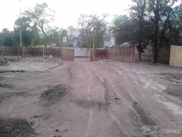 LINDO TERRENO EN CIENEGUILLA 2da ETAPA — foto 3