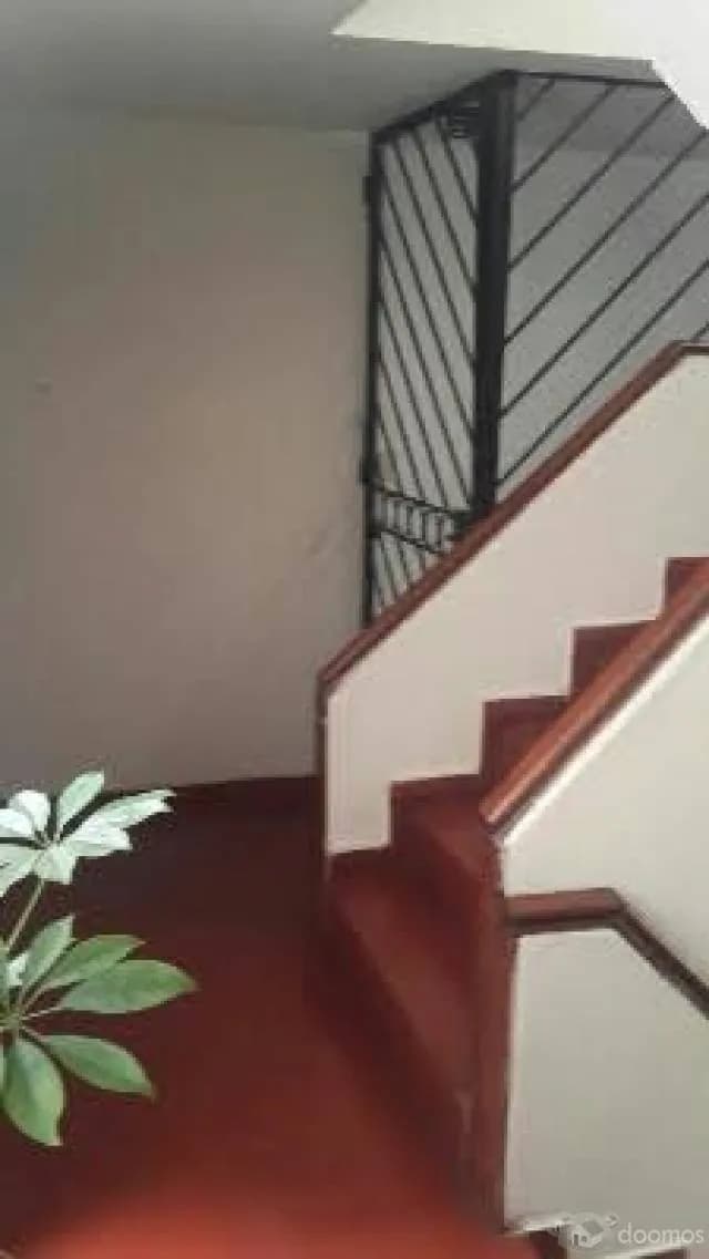 LINDO Y ACOGEDOR DEPARTAMENTO EN SAN MIGUEL — foto 7