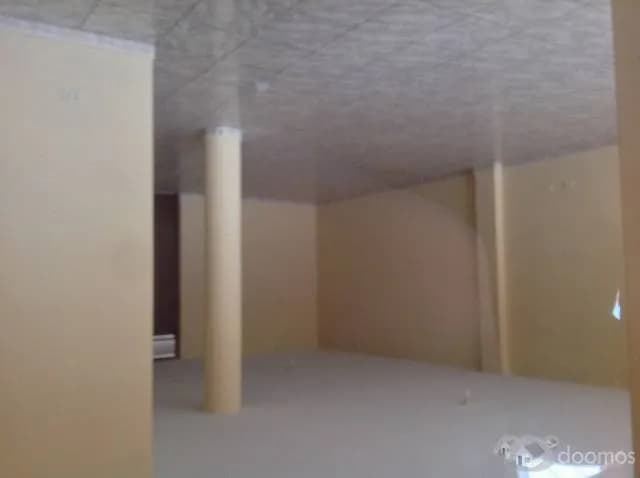 alquiler de casa en bellavista 1500 — foto 1