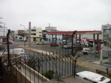 Miniatura 7