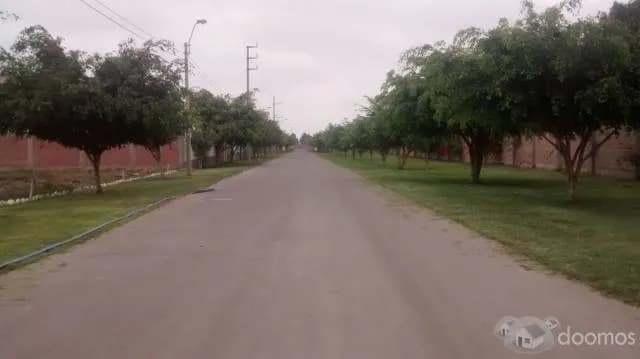 VENTA DE LOTES DE 1500 Y 2500 M2 PACHACAMAC - CASA HUERTA — foto 1