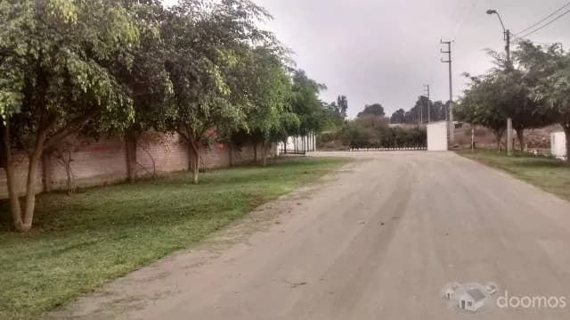 VENTA DE LOTES DE 1500 Y 2500 M2 PACHACAMAC - CASA HUERTA — foto 2
